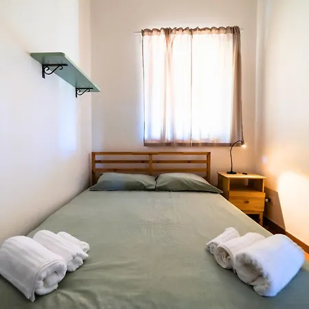 Scilla - Pool & Garden