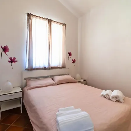 Scilla - Pool & Garden *